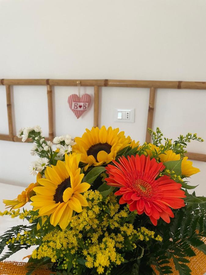 לנצ'יאנו Sunflower מראה חיצוני תמונה