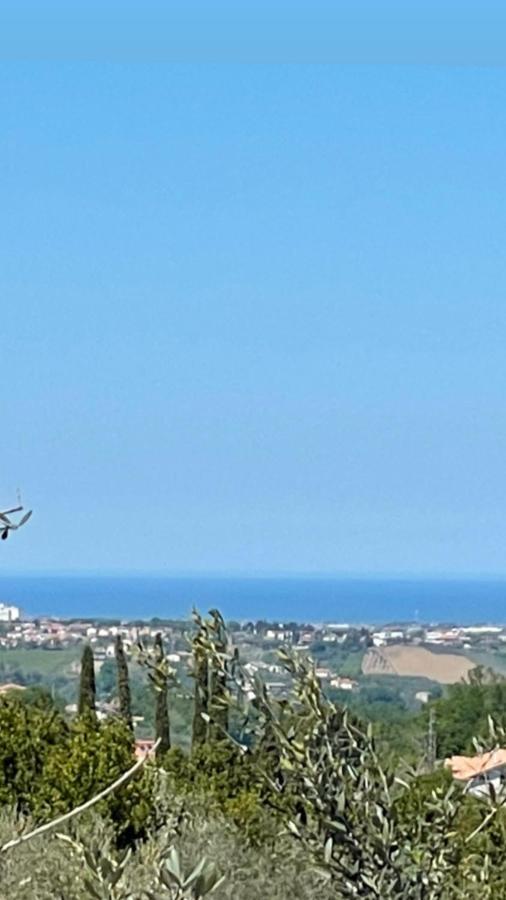 לנצ'יאנו Sunflower מראה חיצוני תמונה