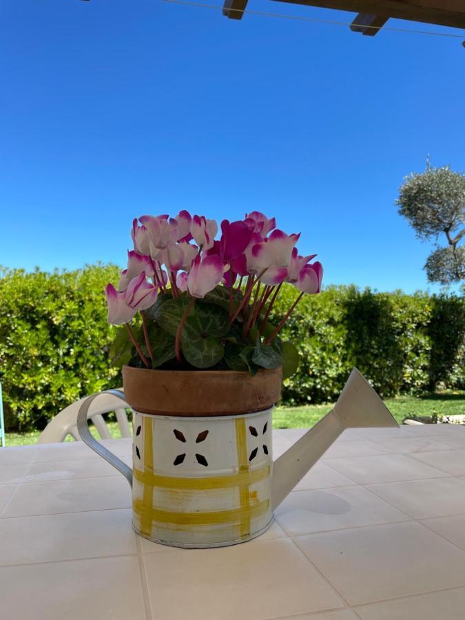 לנצ'יאנו Sunflower מראה חיצוני תמונה